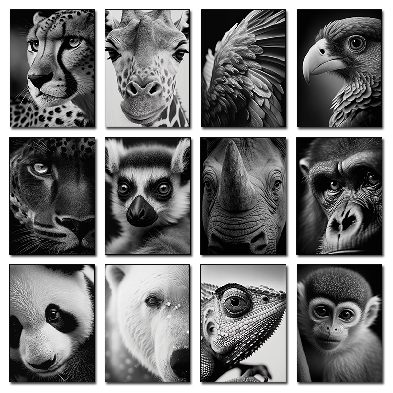 Wildlife Animals Photography P - Photography Close Up avaliação e preço